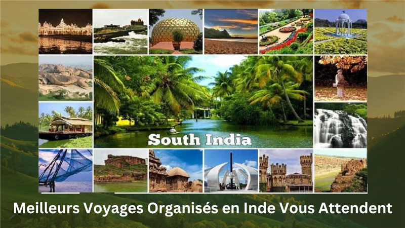 Voyages Organisés en Inde