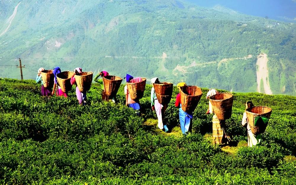  Sikkim et Népal (Entre Montagnes et Monastères)