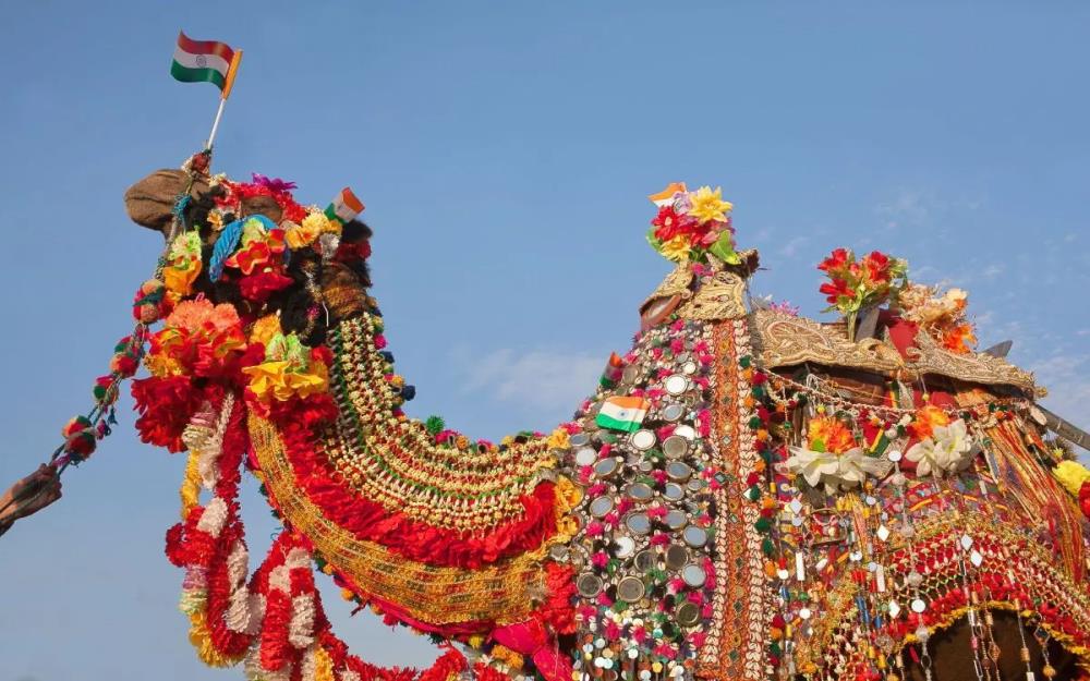 Pushkar Mela : le Festival des dromadaires au Rajasthan