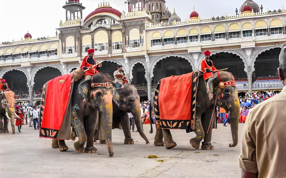 Escapades du Kerala au Karnataka