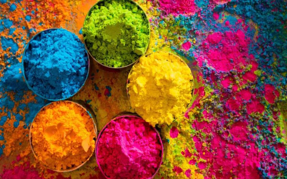 HOLI : la fête des couleurs au Rajasthan